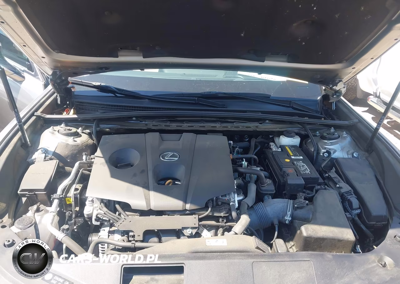 2021 Lexus Es 250 VIN:58AD11D18MU007918 - 10