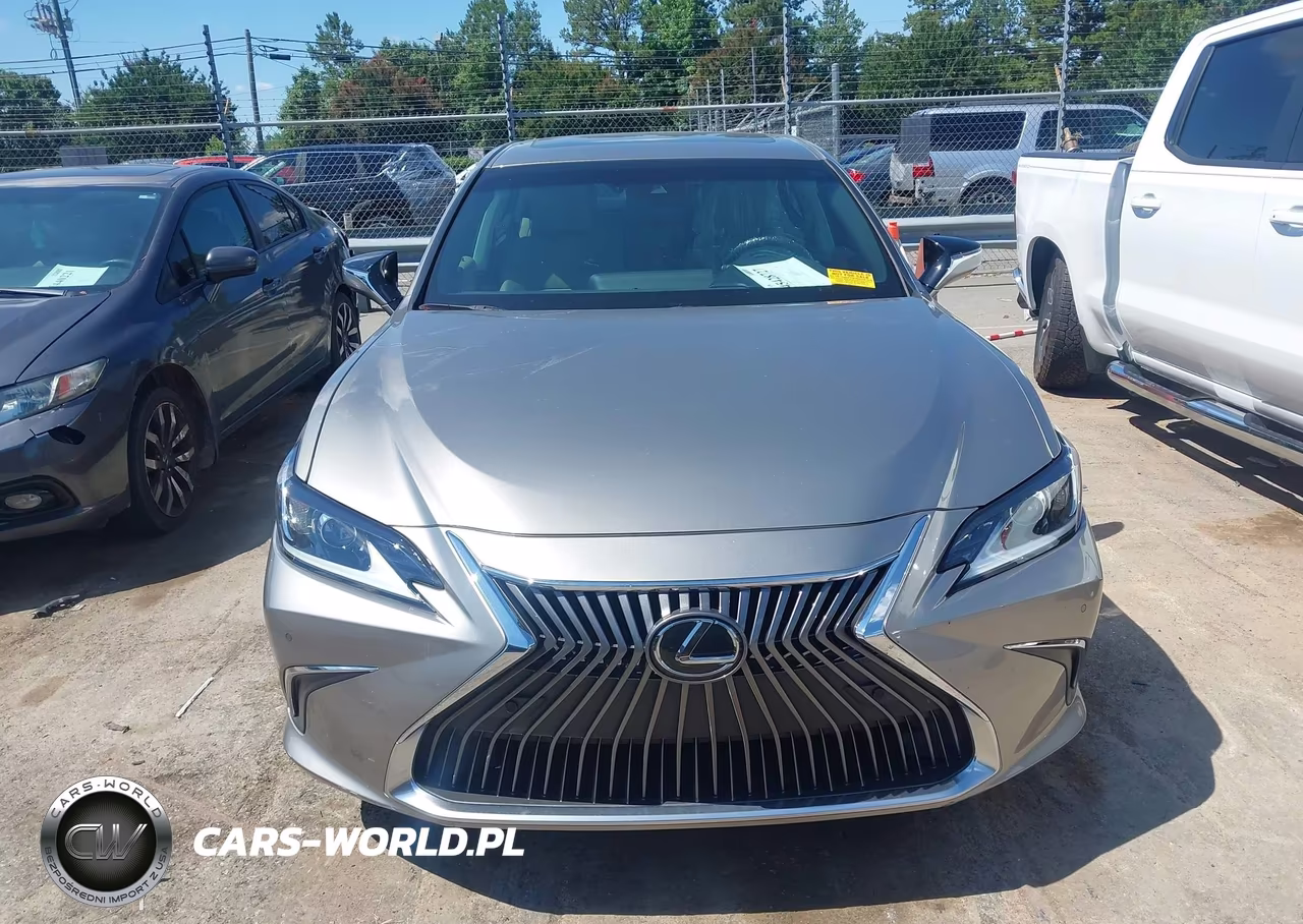 2021 Lexus Es 250 VIN:58AD11D18MU007918 - 13