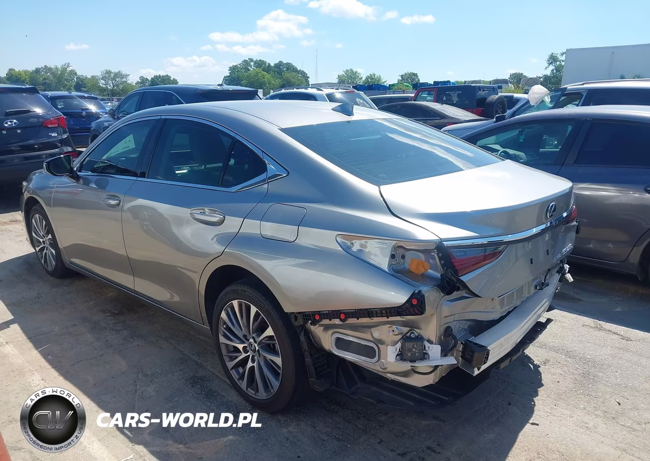 2021 Lexus Es 250 VIN:58AD11D18MU007918 - 15