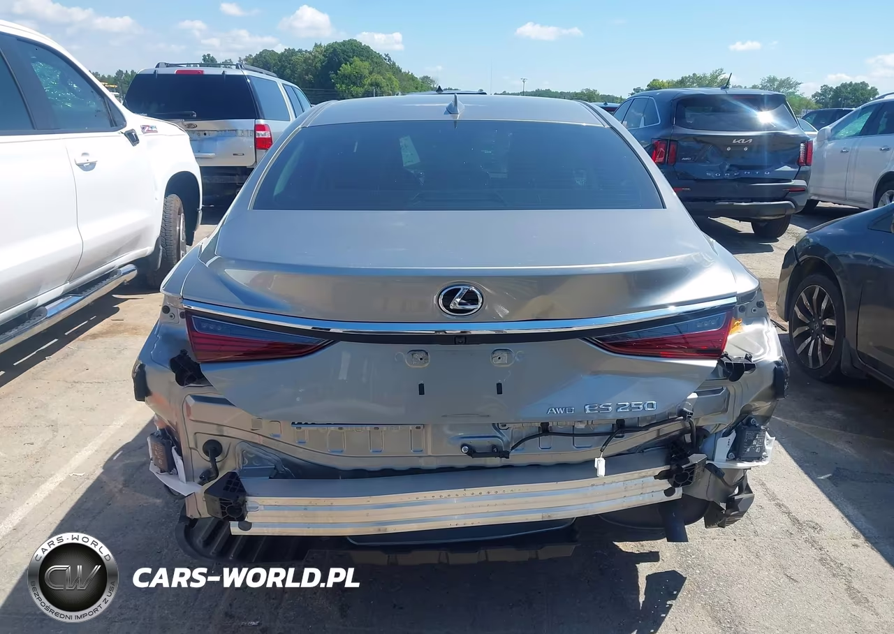 2021 Lexus Es 250 VIN:58AD11D18MU007918 - 17