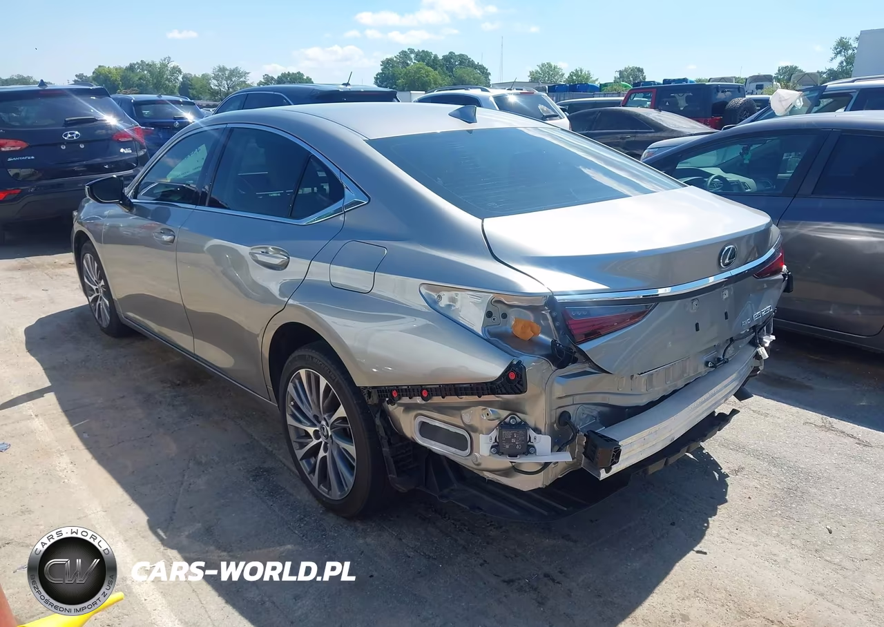 2021 Lexus Es 250 VIN:58AD11D18MU007918 - 3