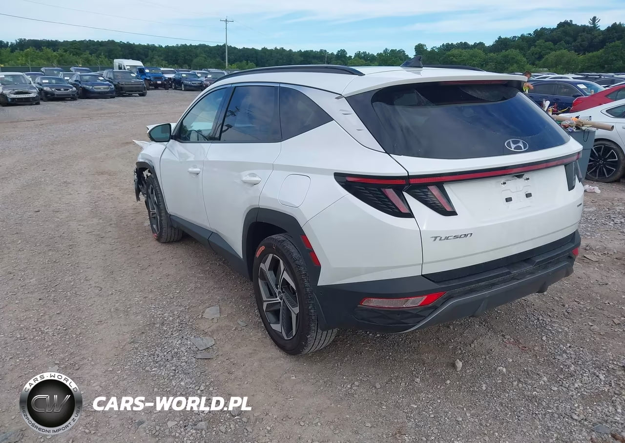 2022 Hyundai Tucson Limited VIN:5NMJECAE2NH148000 - 3