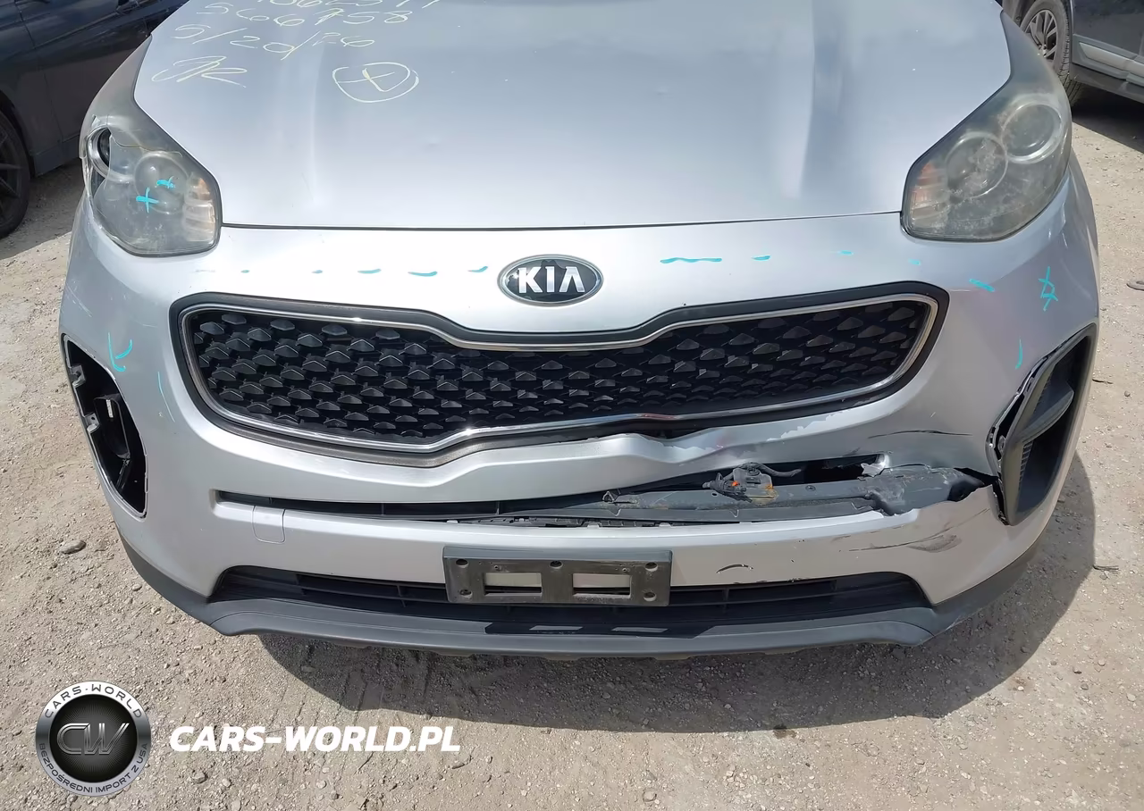 2019 Kia Sportage Lx VIN:KNDPM3AC5K7566758 - 6