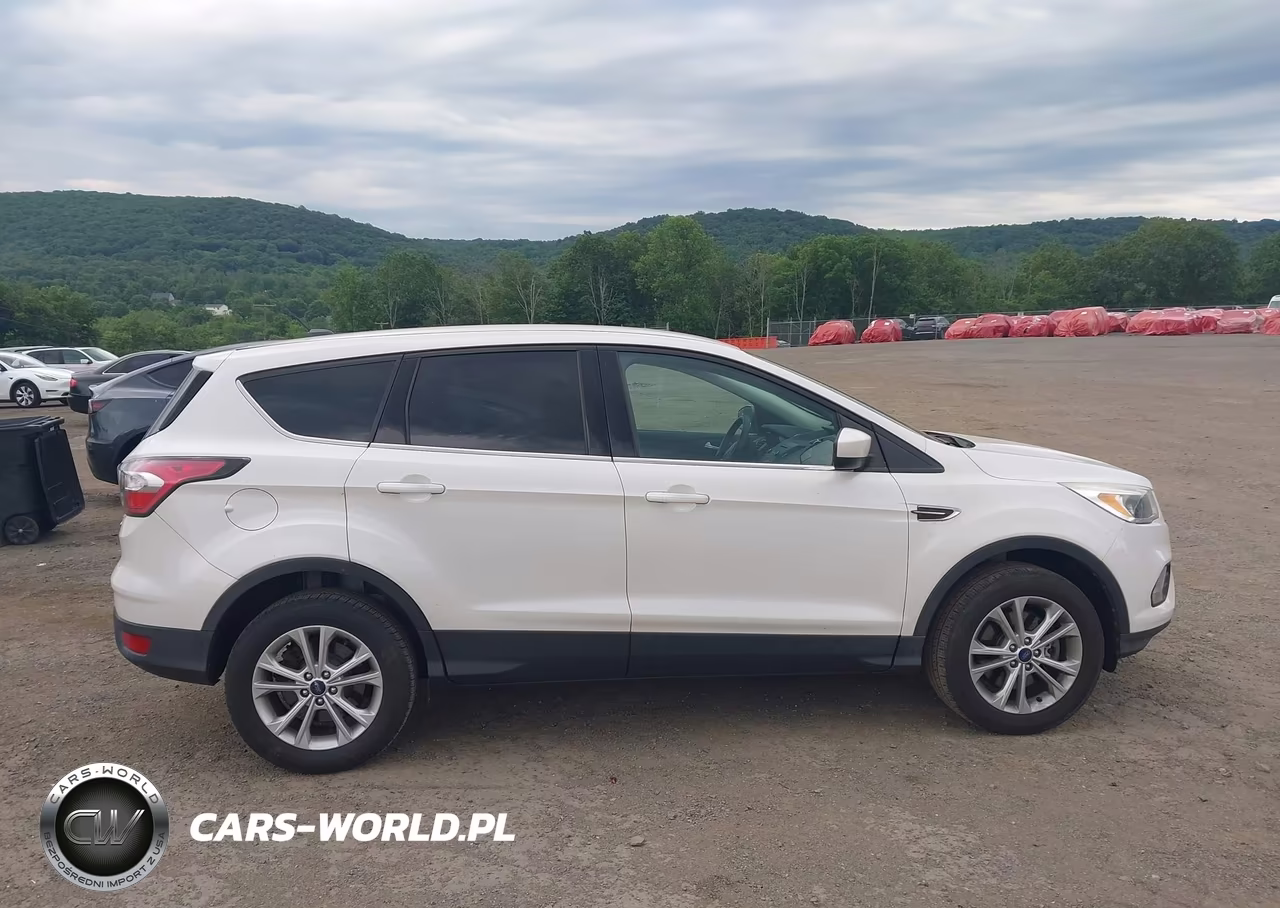 2017 Ford Escape Se VIN:1FMCU9GD5HUB25784 - 13