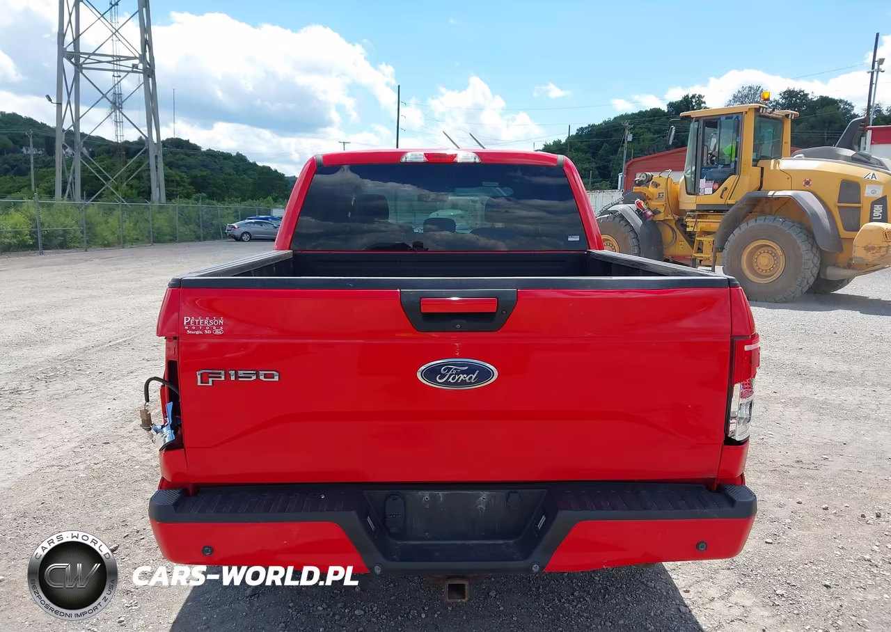 2016 Ford F-150 Lariat-Xl-Xlt VIN:1FTEW1EPXGKD10820 - 17