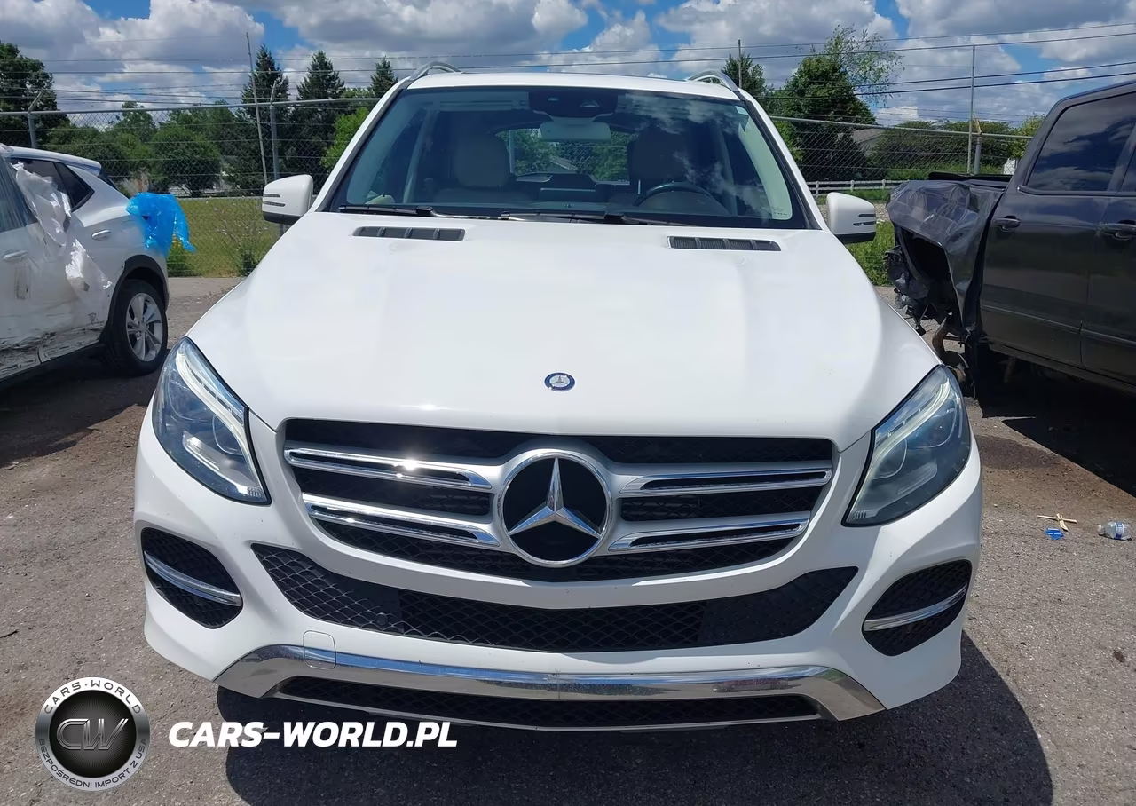 2016 Mercedes-Benz Gle 300D 4Matic VIN:4JGDA0EB2GA752176 - 12