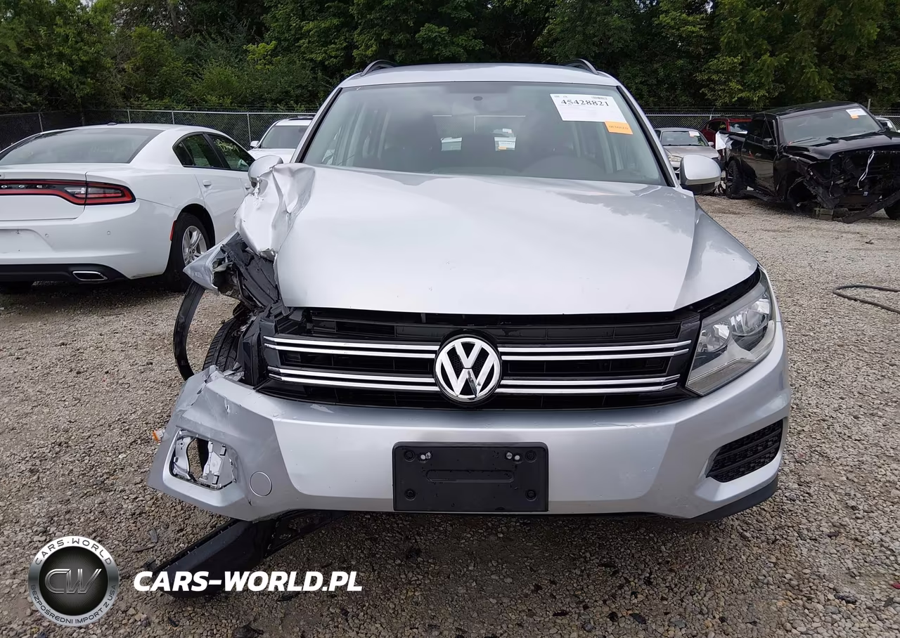 2015 Volkswagen Tiguan S VIN:WVGAV7AX0FW597548 - 12