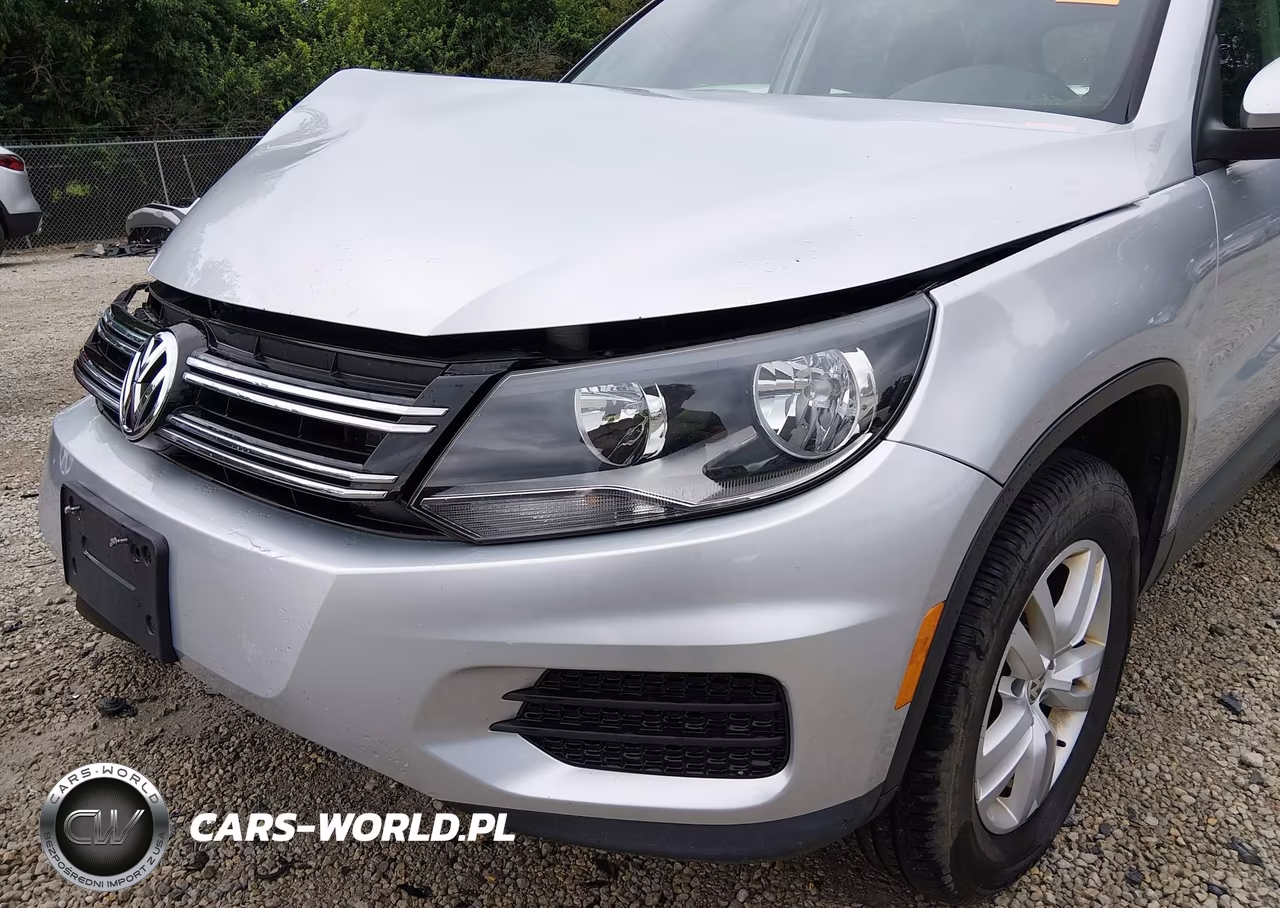 2015 Volkswagen Tiguan S VIN:WVGAV7AX0FW597548 - 17