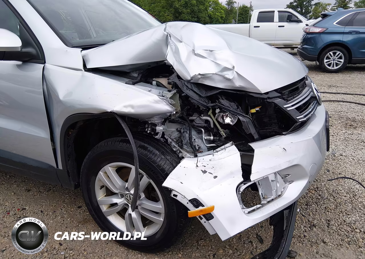 2015 Volkswagen Tiguan S VIN:WVGAV7AX0FW597548 - 6