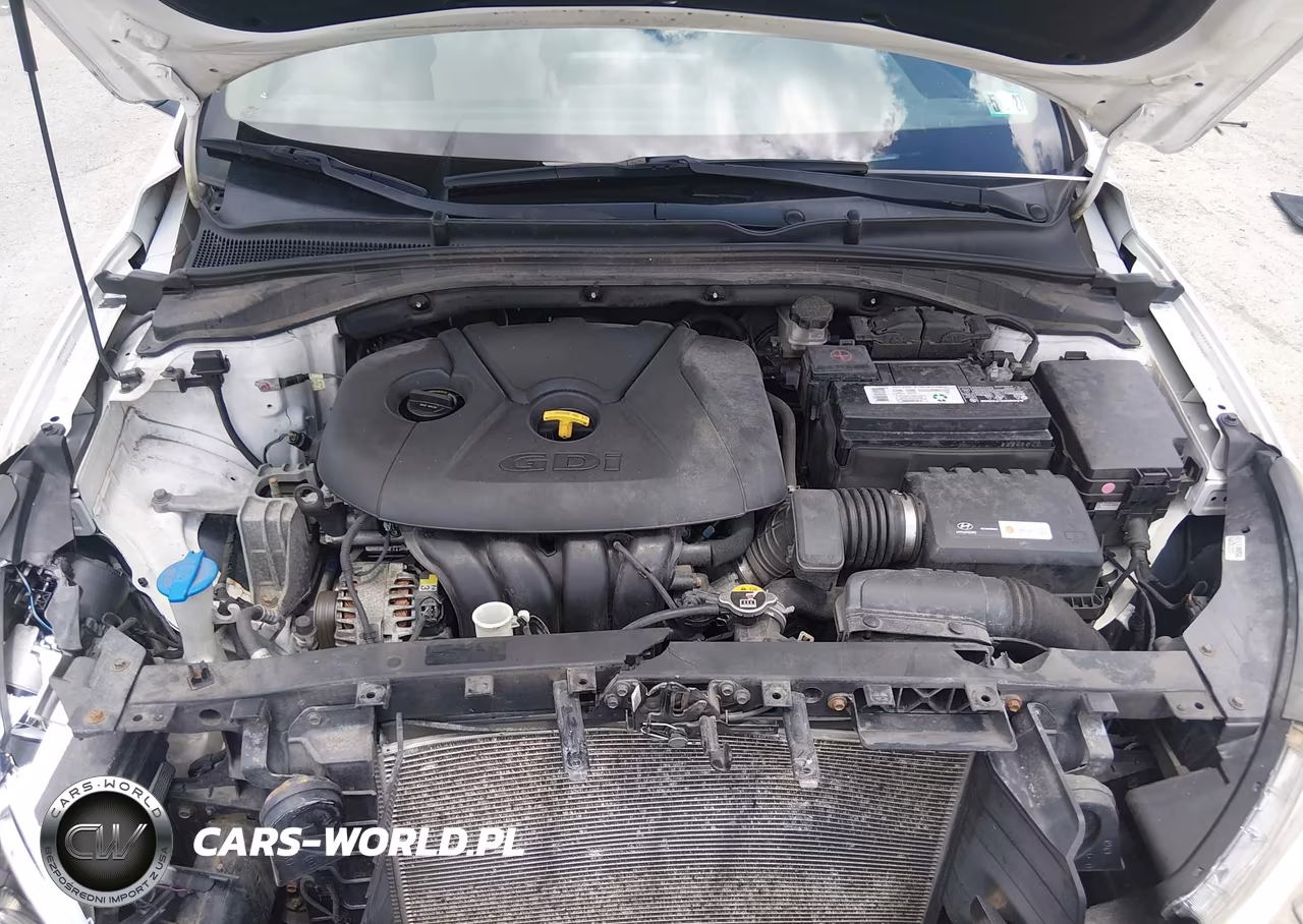 2018 Hyundai Elantra Gt VIN:KMHH35LE5JU013282 - 10