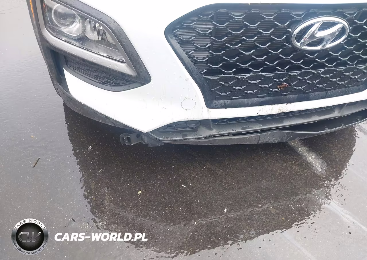 2019 Hyundai Kona Se VIN:KM8K12AA9KU306016 - 19