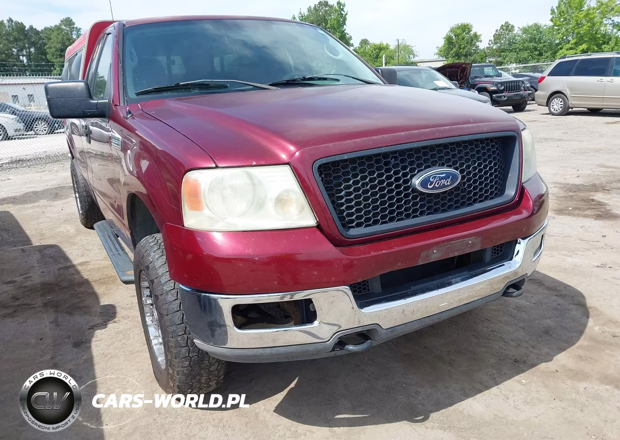 2004 Ford F-150 Fx4-Xl-Xlt VIN:1FTRF14594NB88902 - 6