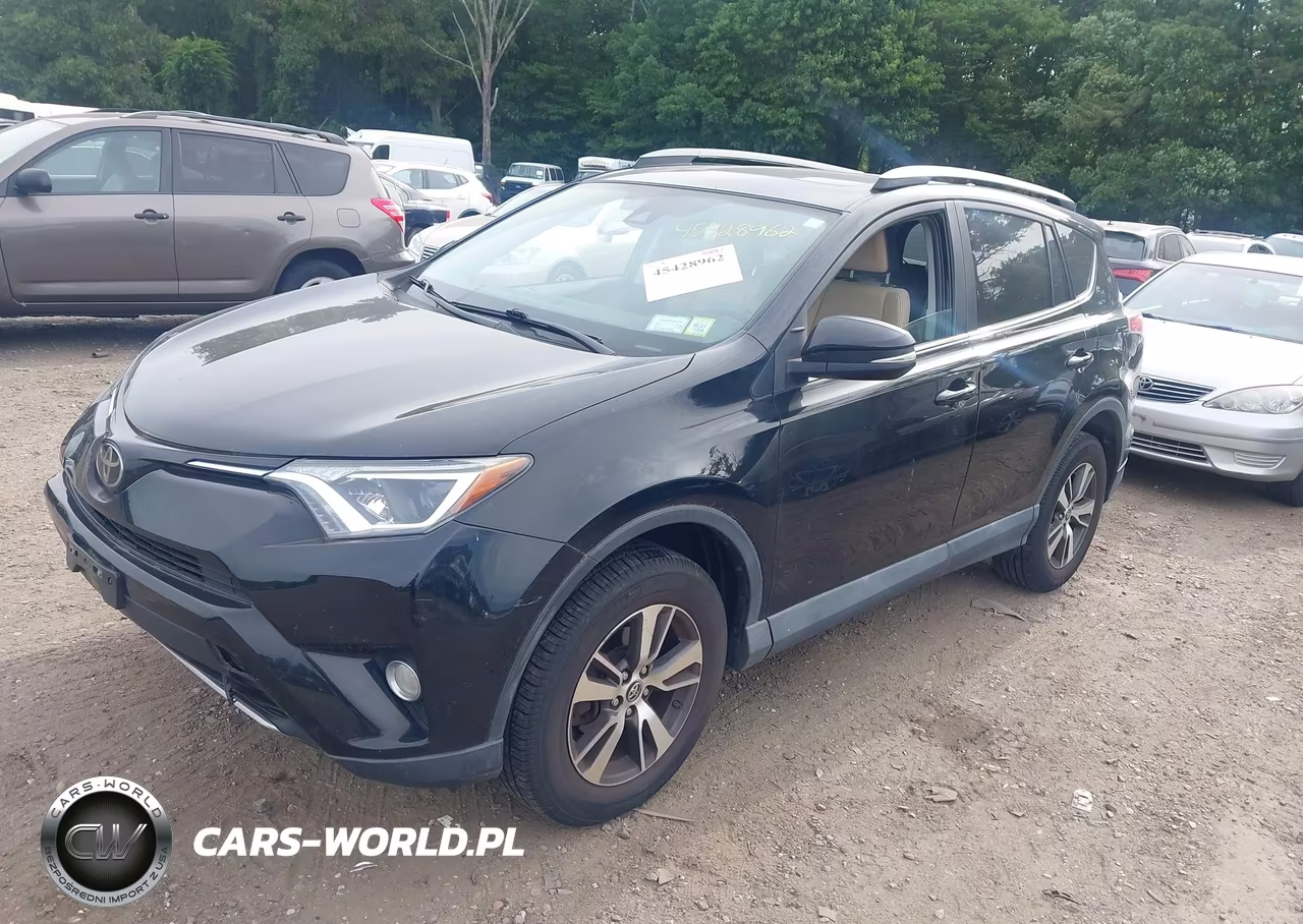 2018 Toyota Rav4 Xle VIN:2T3RFREVXJW817231 - 2