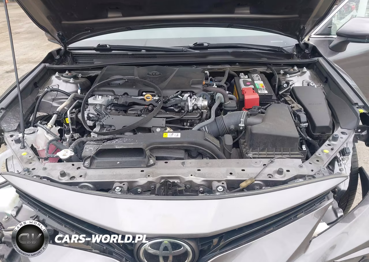 2021 Toyota Camry Le VIN:4T1C11AK2MU533686 - 10