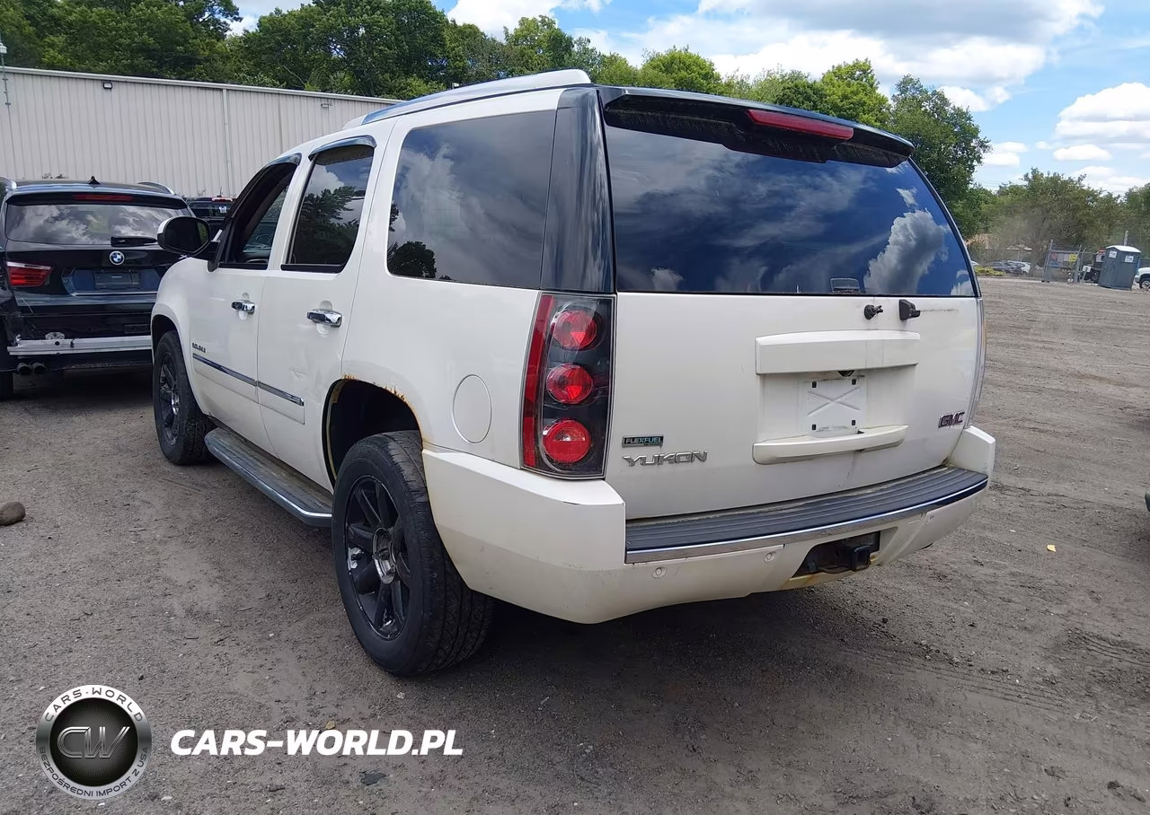 2010 GMC Yukon Denali VIN:1GKUKEEF7AR277087 - 3
