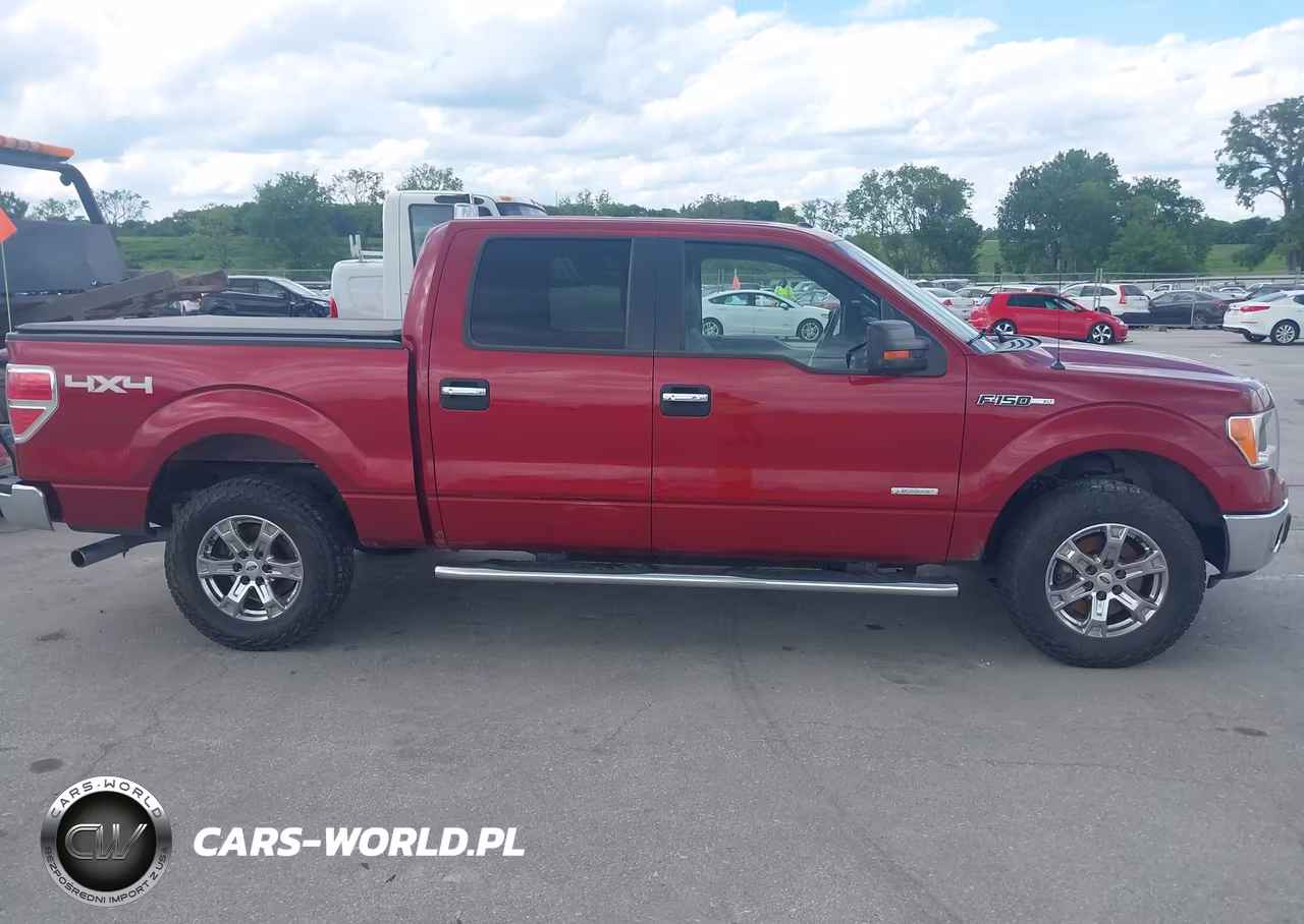 2014 Ford F-150 Xlt VIN:1FTFW1ET8EKE64117 - 13