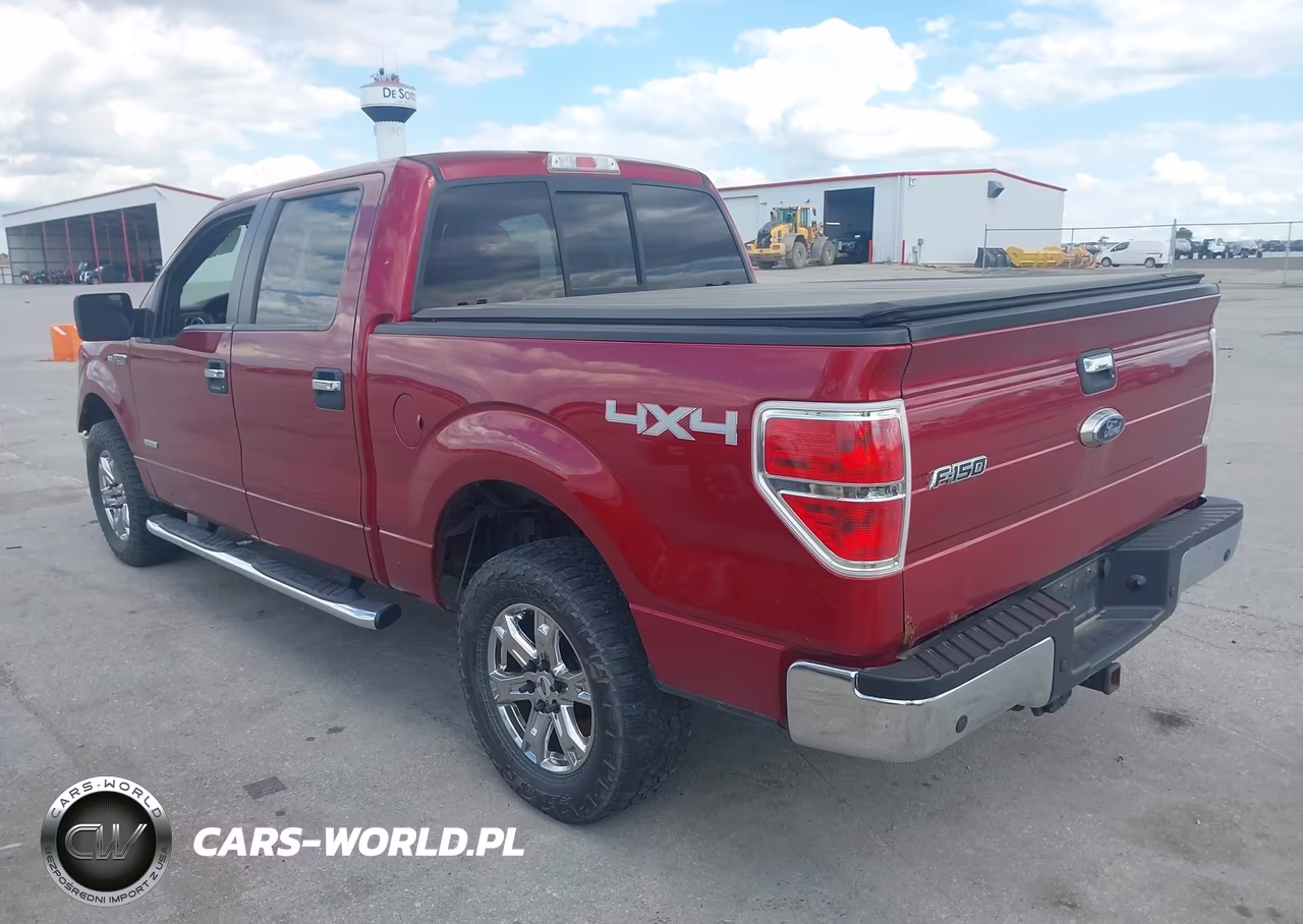2014 Ford F-150 Xlt VIN:1FTFW1ET8EKE64117 - 3