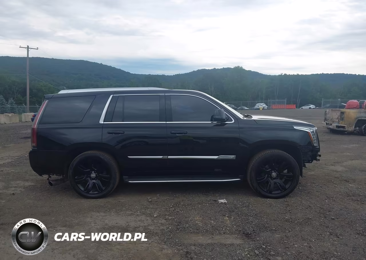 2017 Cadillac Escalade Luxury VIN:1GYS4BKJ4HR192992 - 14