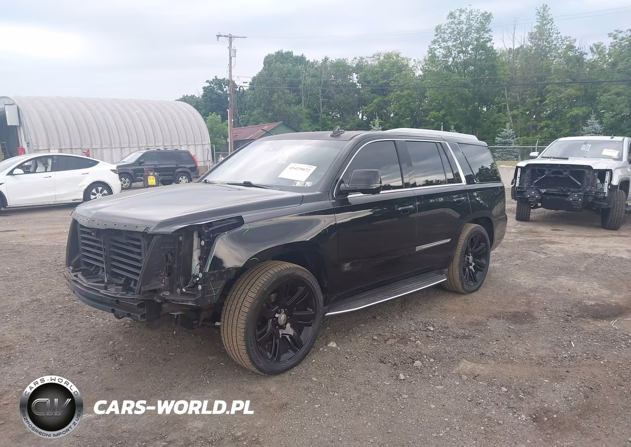 2017 Cadillac Escalade Luxury VIN:1GYS4BKJ4HR192992 - 2