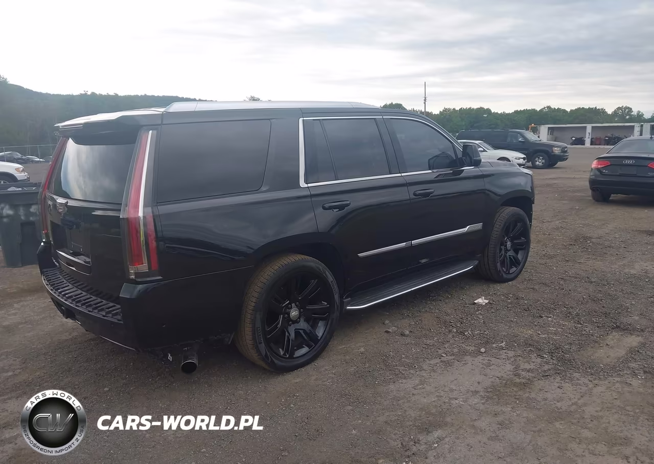 2017 Cadillac Escalade Luxury VIN:1GYS4BKJ4HR192992 - 4