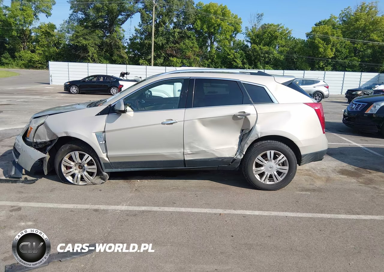 2010 Cadillac Srx Luxury Collection VIN:3GYFNAEYXAS584721 - 14