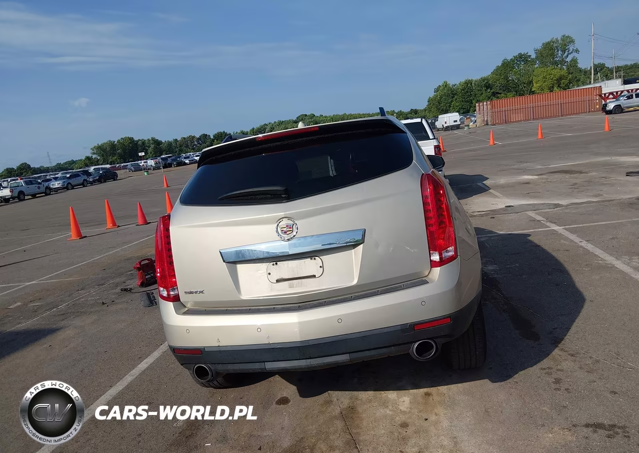 2010 Cadillac Srx Luxury Collection VIN:3GYFNAEYXAS584721 - 16