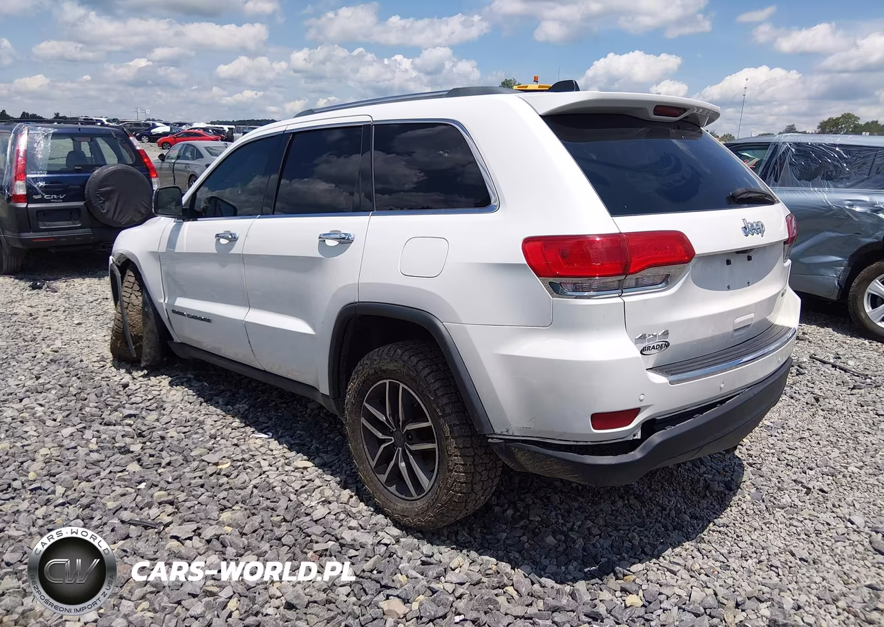 2019 Jeep Grand Cherokee Limited 4X4 VIN:1C4RJFBG1KC529119 - 3