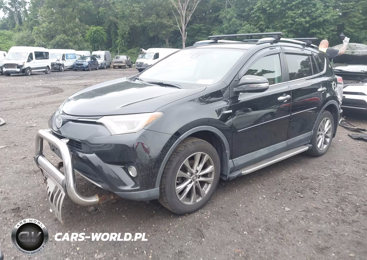 2017 Toyota Rav4 Limited VIN:2T3DFREV5HW629639 - 2
