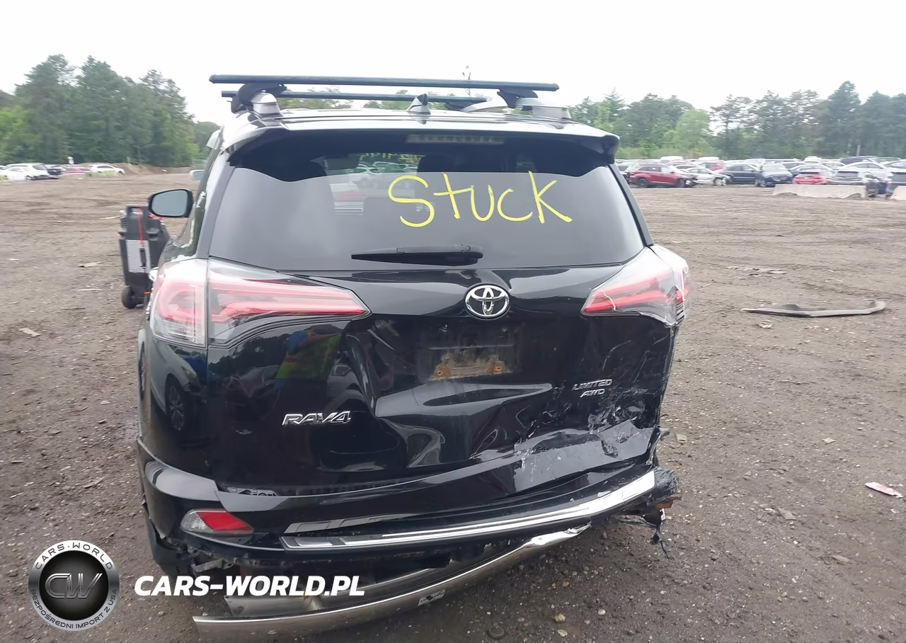 2017 Toyota Rav4 Limited VIN:2T3DFREV5HW629639 - 6