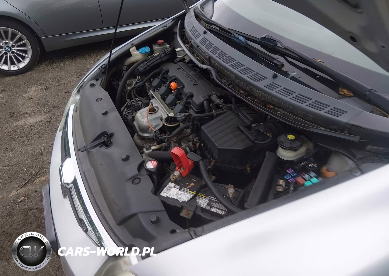 2009 Honda Civic Lx VIN:2HGFA165X9H518661 - 10