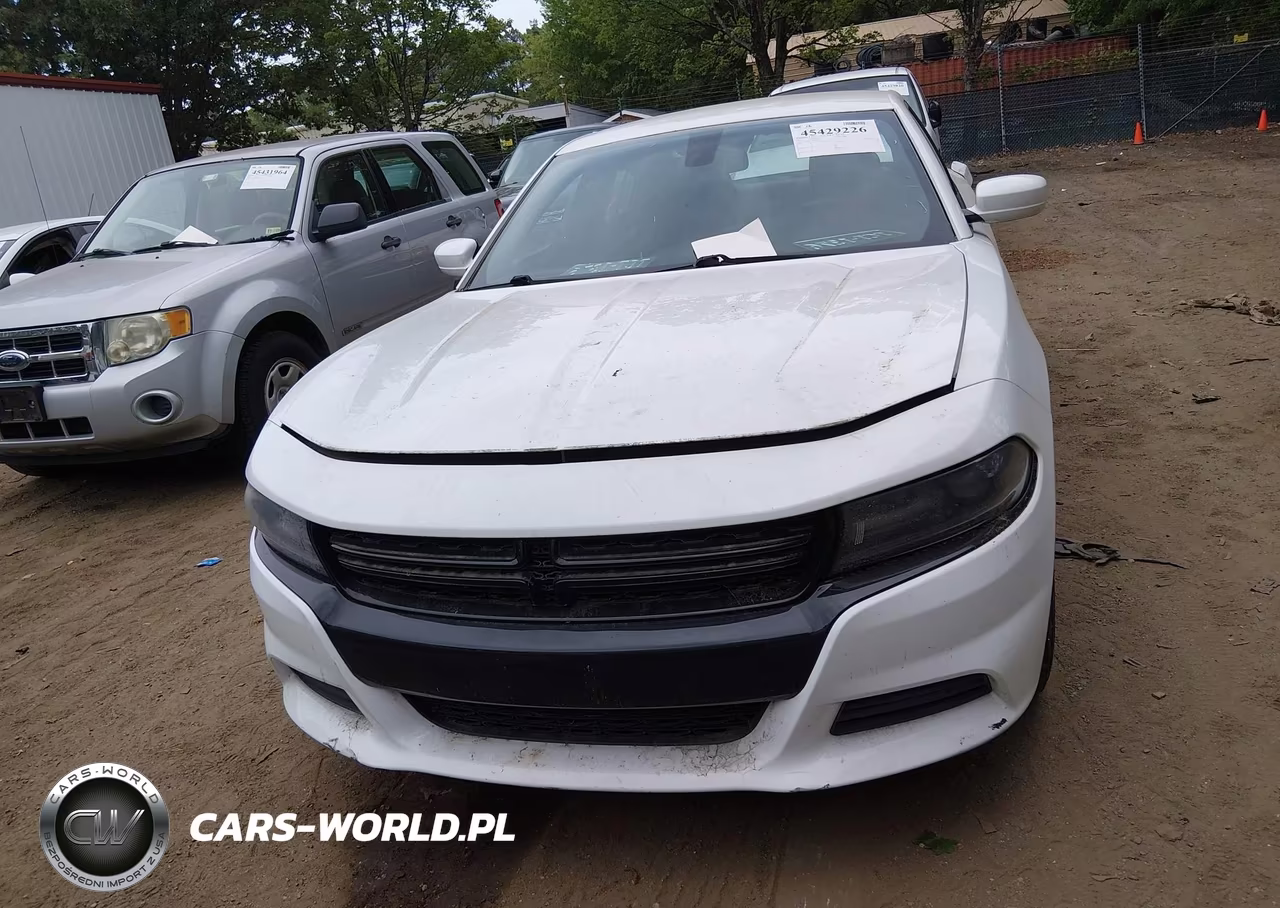 2016 Dodge Charger Police VIN:2C3CDXAT9GH133868 - 12