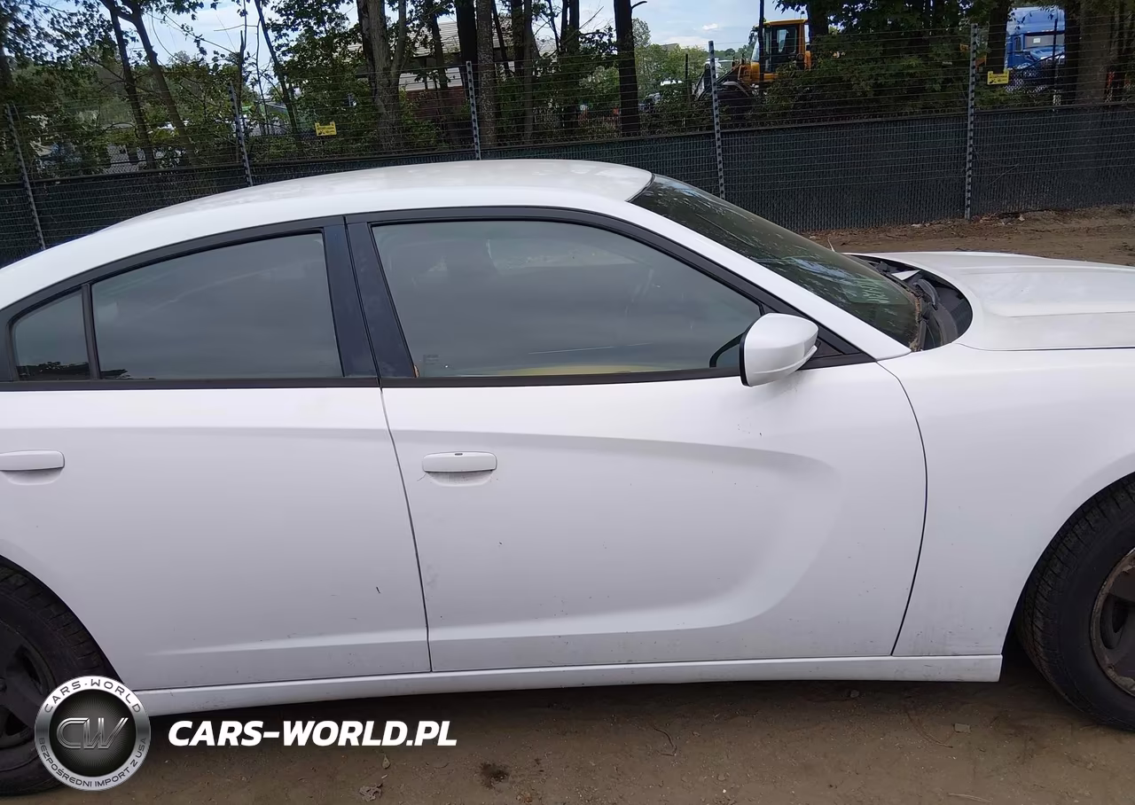 2016 Dodge Charger Police VIN:2C3CDXAT9GH133868 - 13