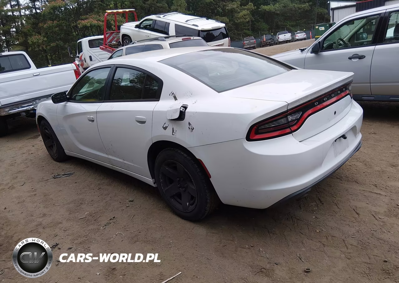 2016 Dodge Charger Police VIN:2C3CDXAT9GH133868 - 3