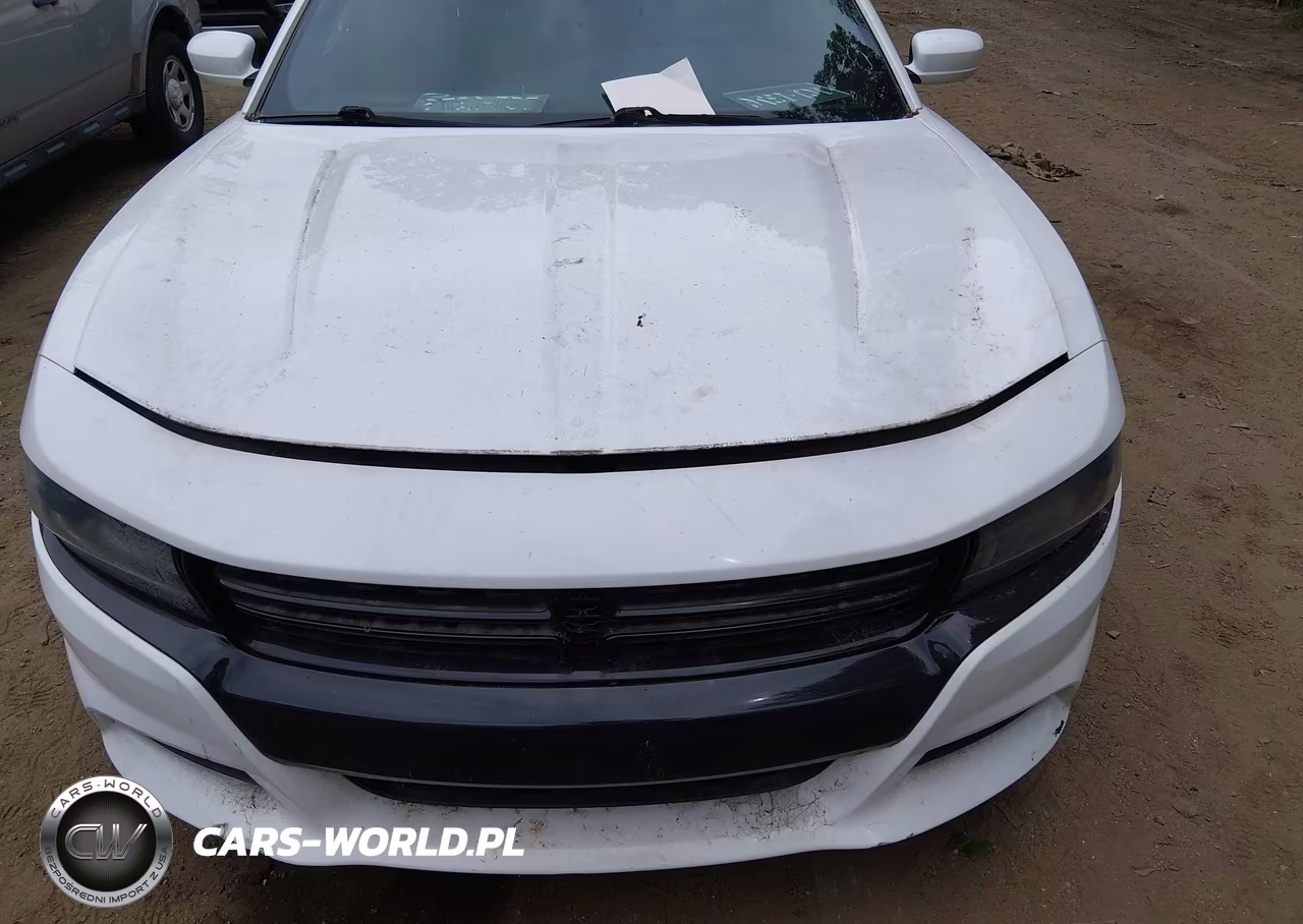 2016 Dodge Charger Police VIN:2C3CDXAT9GH133868 - 6