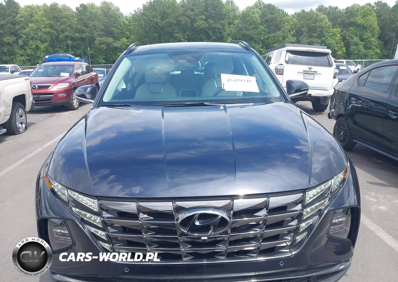 2024 Hyundai Tucson Hybrid Limited VIN:KM8JECD19RU170465 - 12