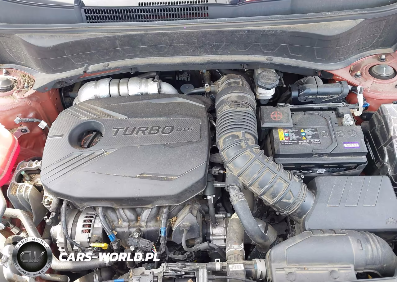 2023 Kia Seltos Sx Turbo VIN:KNDETCA25P7357237 - 10