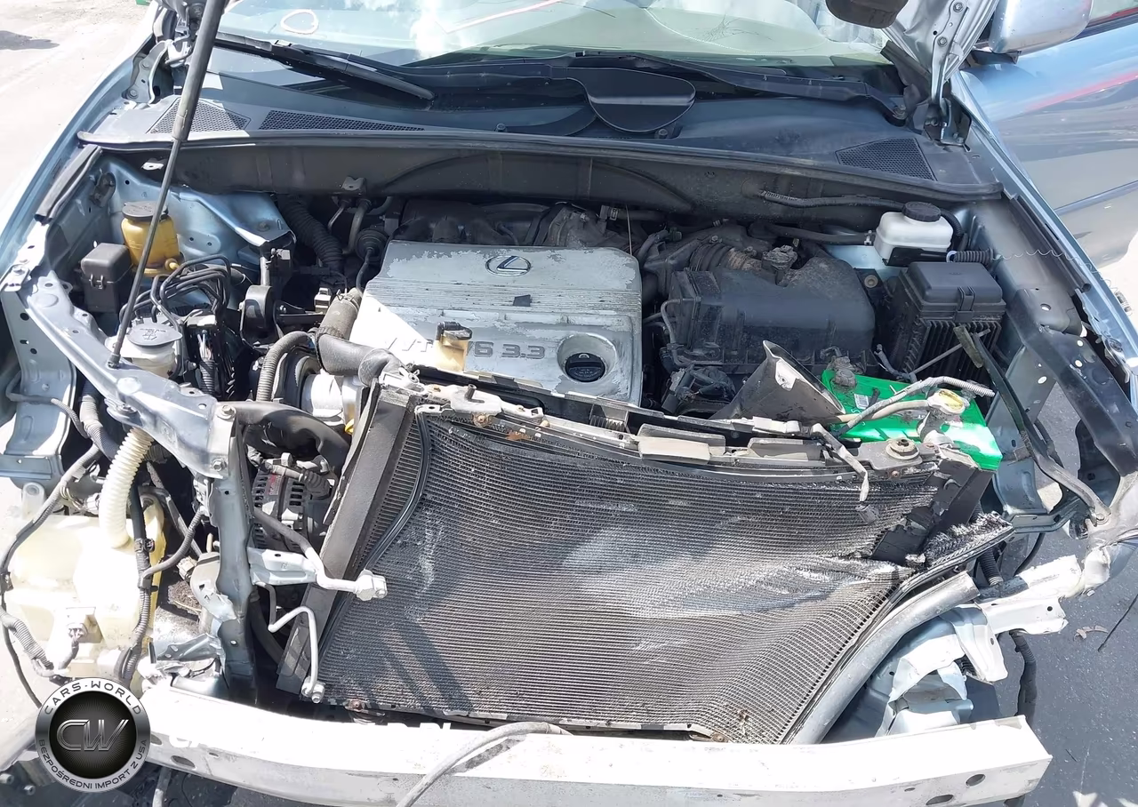 2004 Lexus Rx 330 VIN:2T2HA31U64C033899 - 10