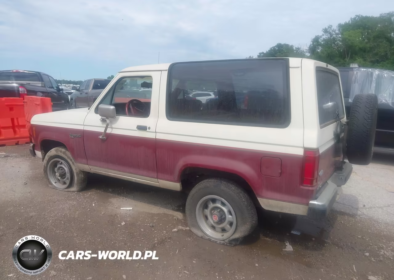 1988 Ford Bronco Ii VIN:1FMCU14T7JUB43867 - 3