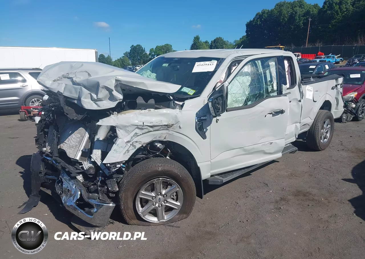 2024 Ford F-150 Xlt VIN:1FTFW3L88RKE19873 - 2