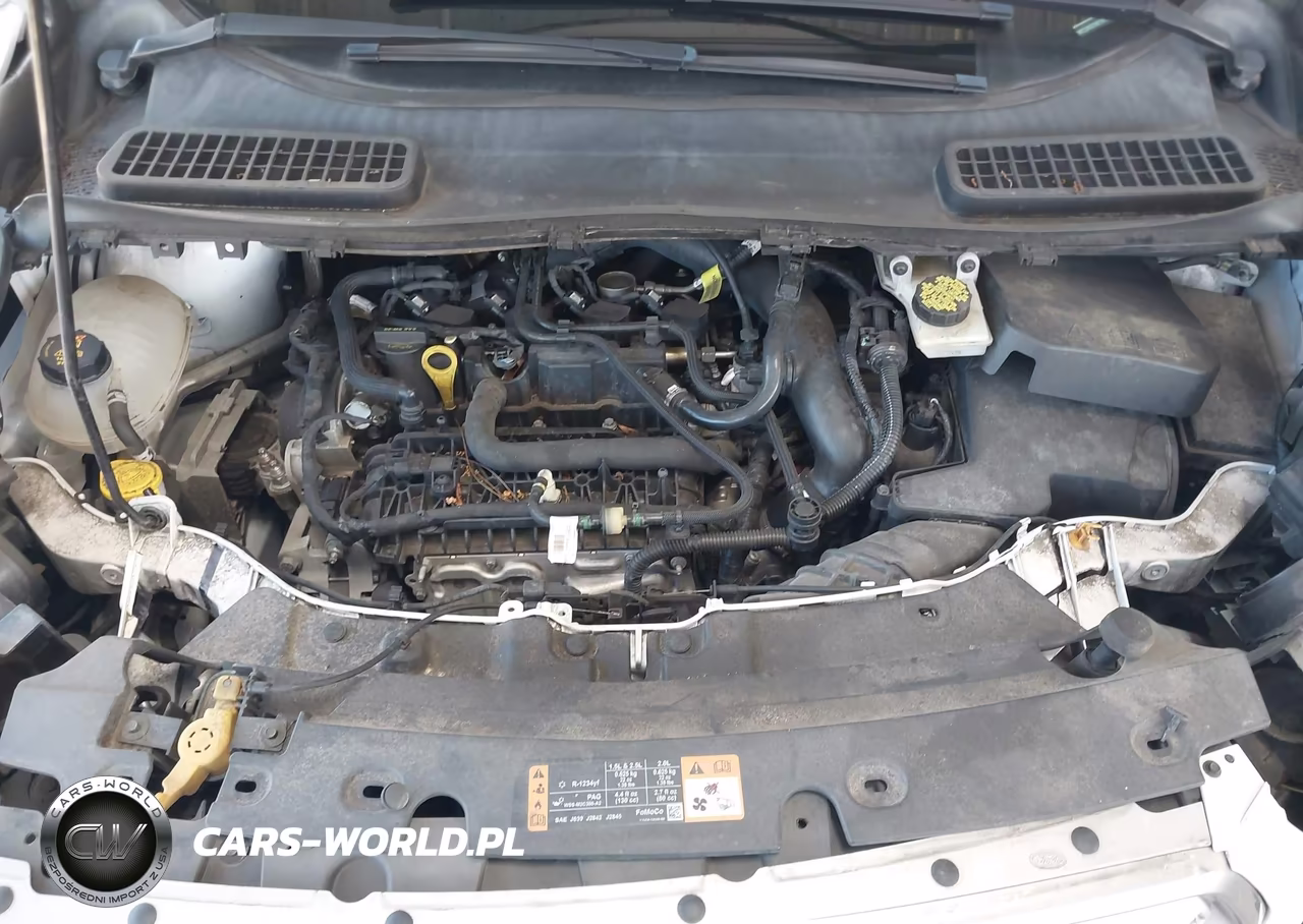 2019 Ford Escape Se VIN:1FMCU0GD4KUA55763 - 10