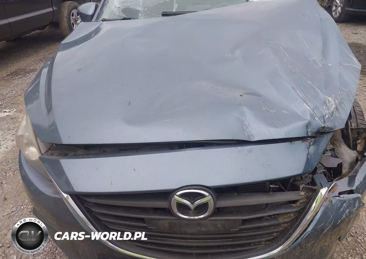 2016 Mazda Mazda3 I Sport VIN:JM1BM1J74G1325575 - 10