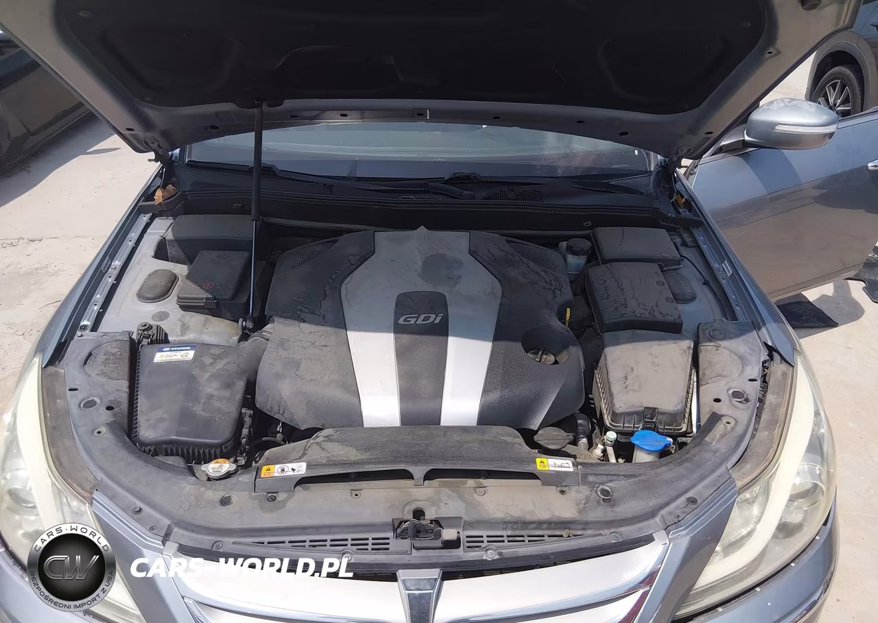 2014 Hyundai Genesis 3.8 VIN:KMHGC4DD9EU260306 - 10