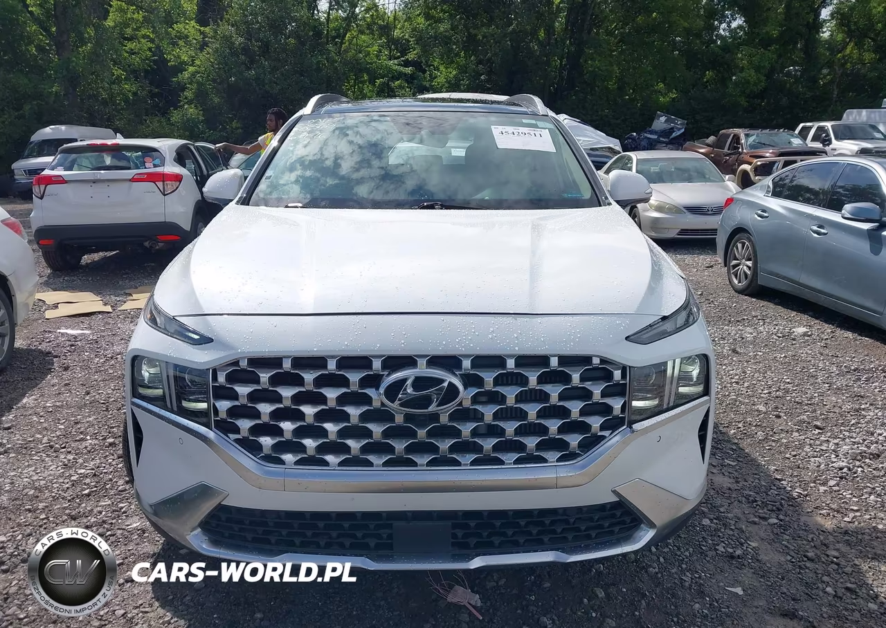 2022 Hyundai Santa Fe Limited VIN:5NMS4DAL6NH458369 - 12
