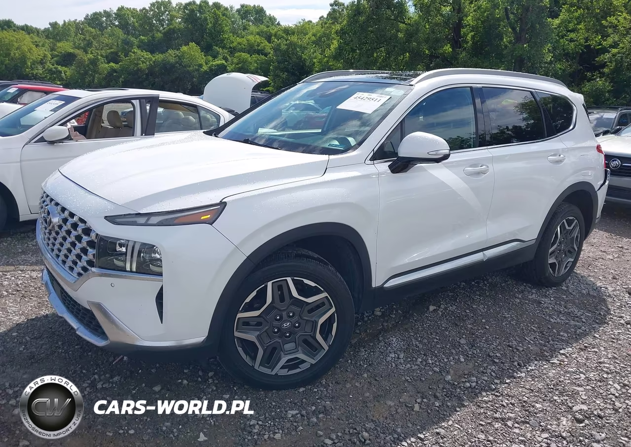 2022 Hyundai Santa Fe Limited VIN:5NMS4DAL6NH458369 - 2