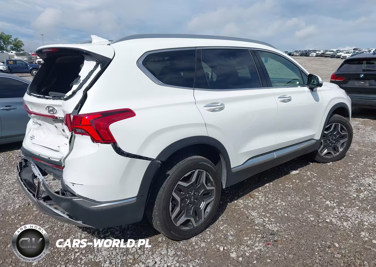 2022 Hyundai Santa Fe Limited VIN:5NMS4DAL6NH458369 - 4