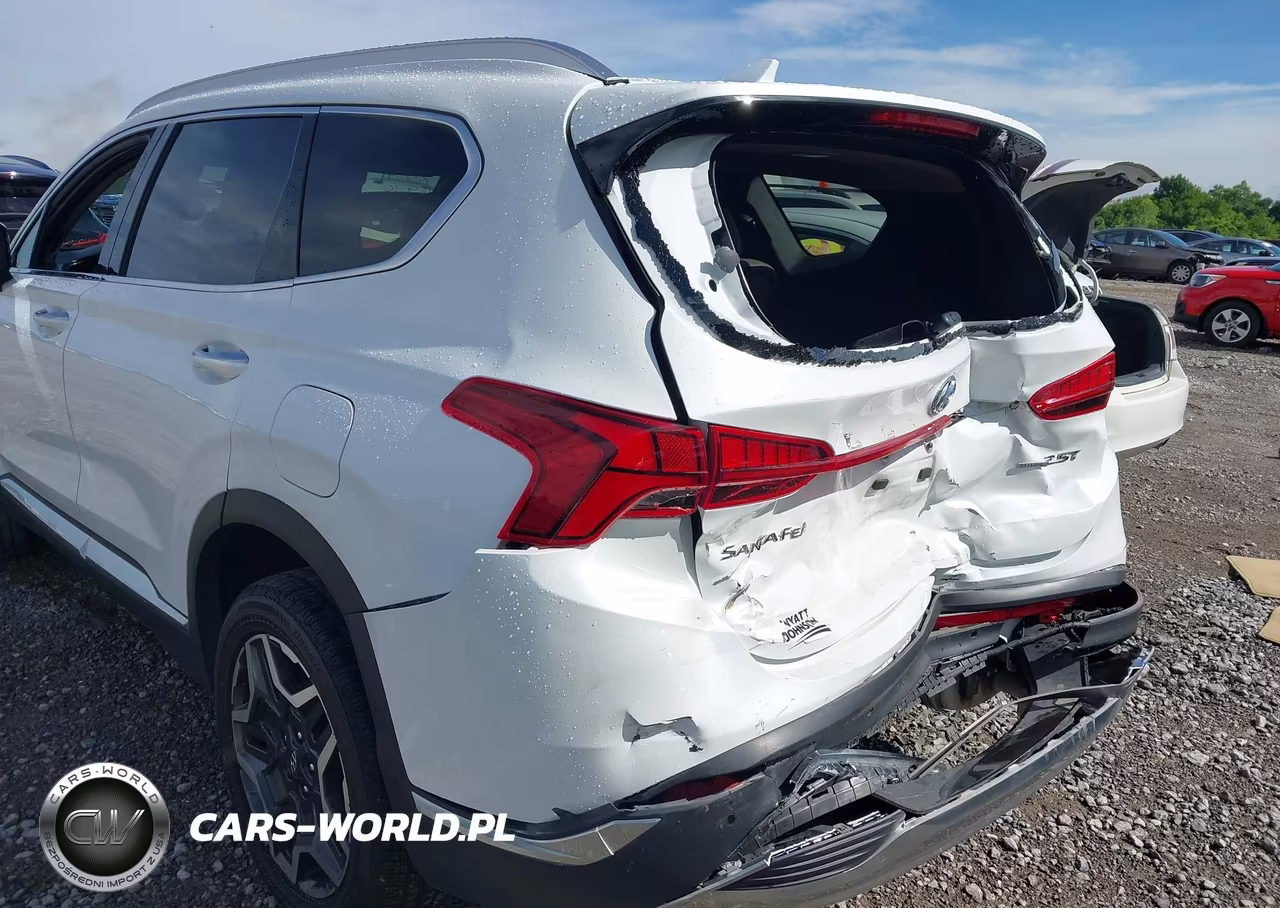 2022 Hyundai Santa Fe Limited VIN:5NMS4DAL6NH458369 - 6