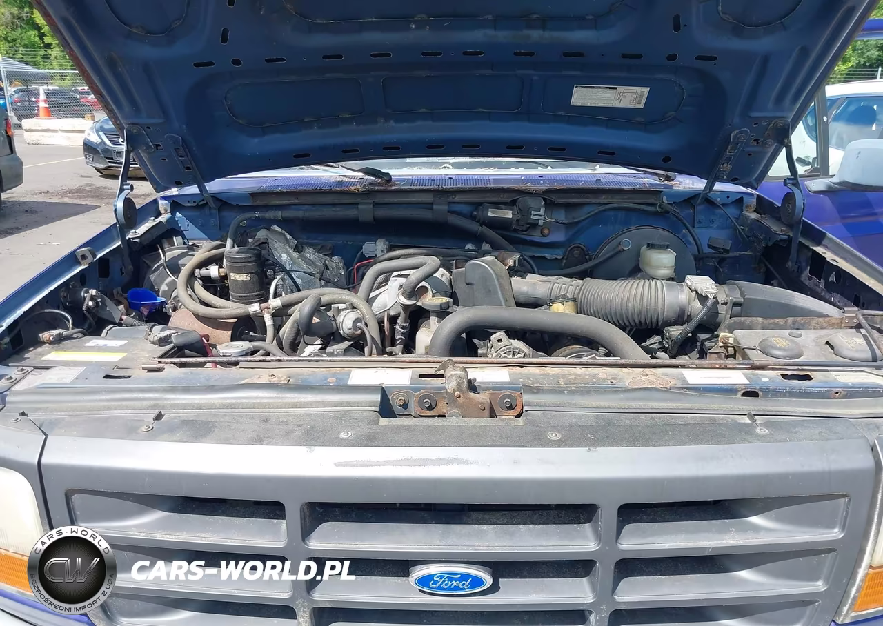 1995 Ford F150 VIN:1FTEF15Y1SLB33344 - 10