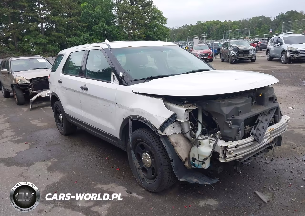 2013 Ford Utility Police Interceptor – zdjęcie 1 z 11