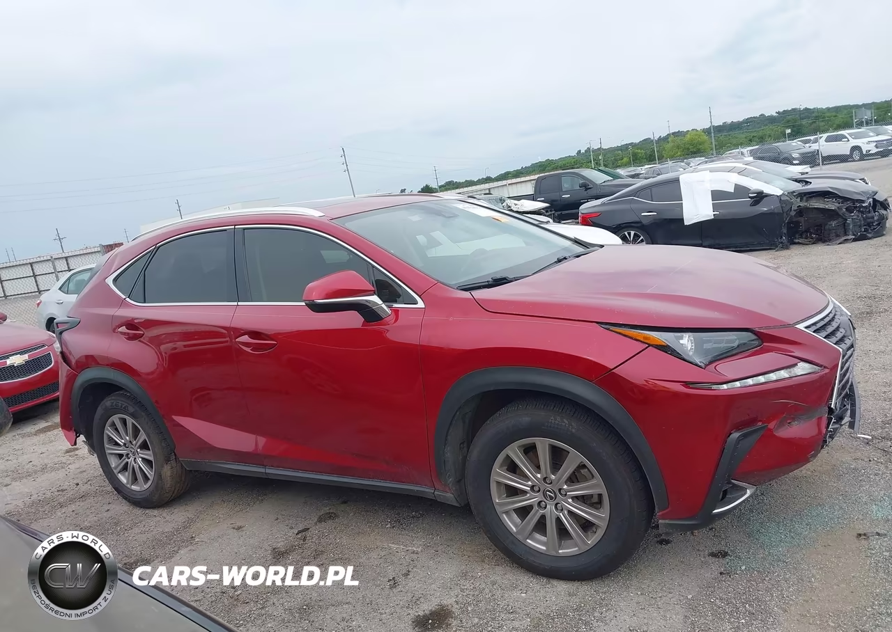 2021 Lexus Nx 300 VIN:JTJDARBZ5M5020832 - 13