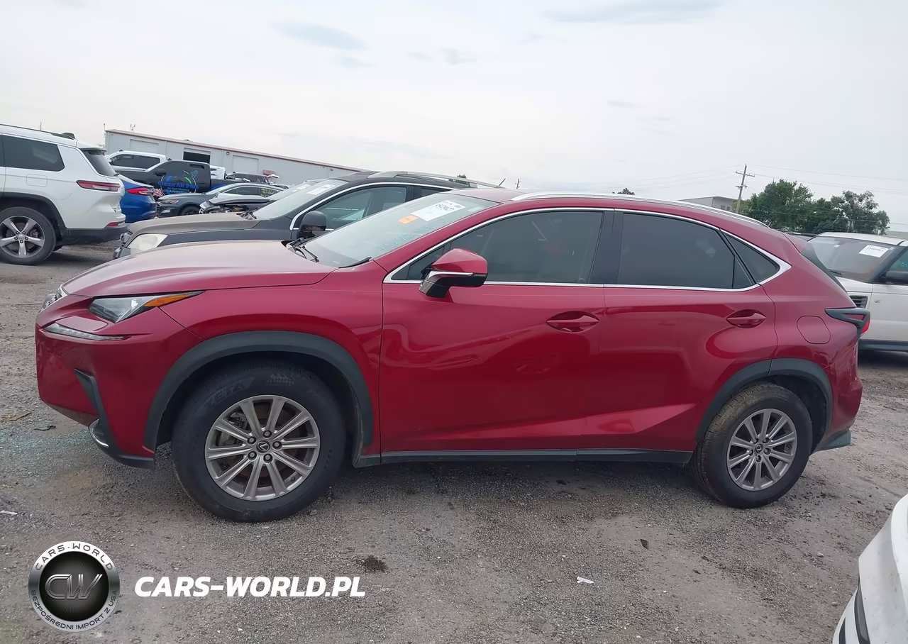 2021 Lexus Nx 300 VIN:JTJDARBZ5M5020832 - 14